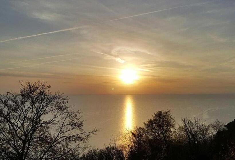 Pensão Babbacombe Palms