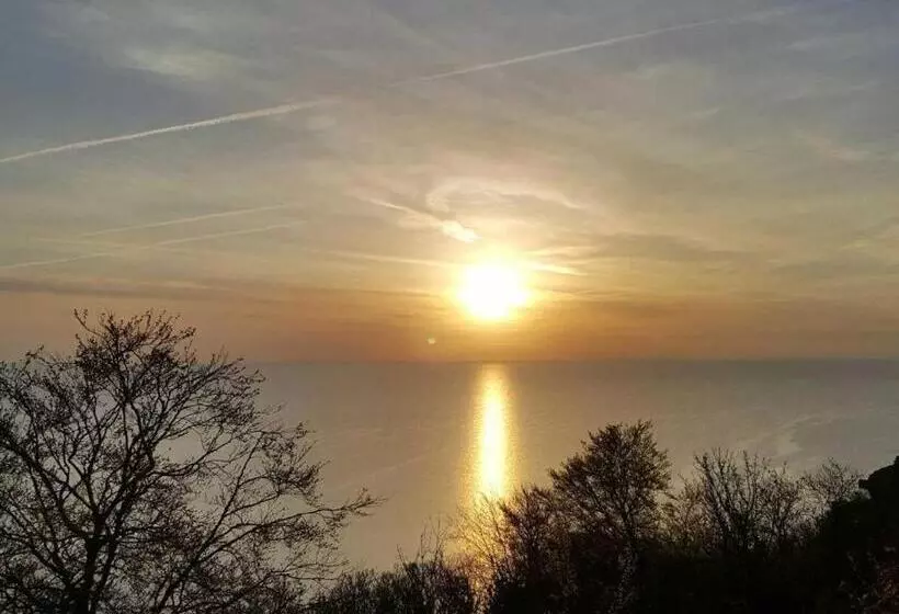 Pensió Babbacombe Palms