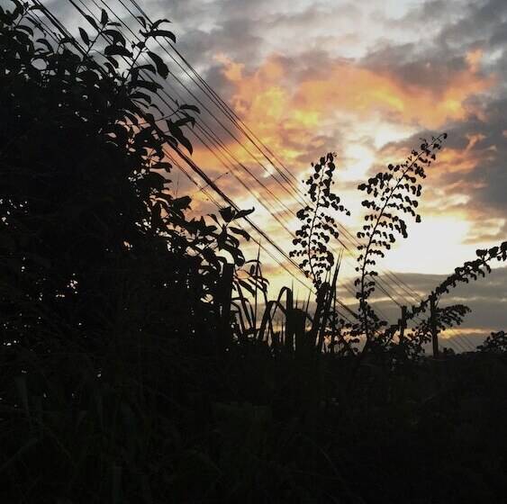 Pensión Hanthana House