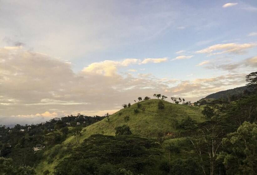 Pensión Hanthana House