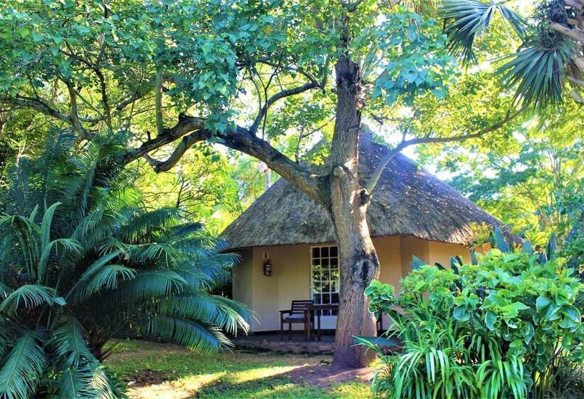 بنسيون Idle & Wild