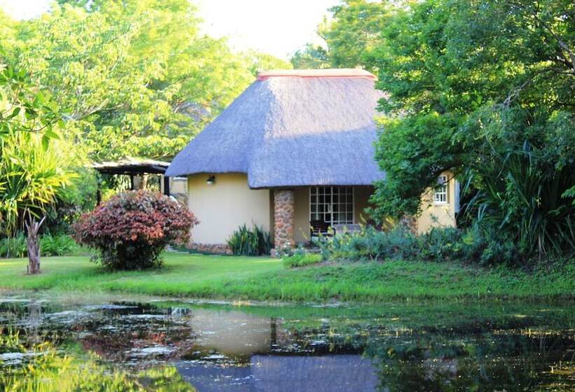 بنسيون Idle & Wild