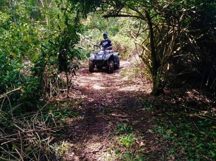 بنسيون Idle & Wild