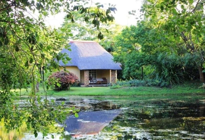 بنسيون Idle & Wild