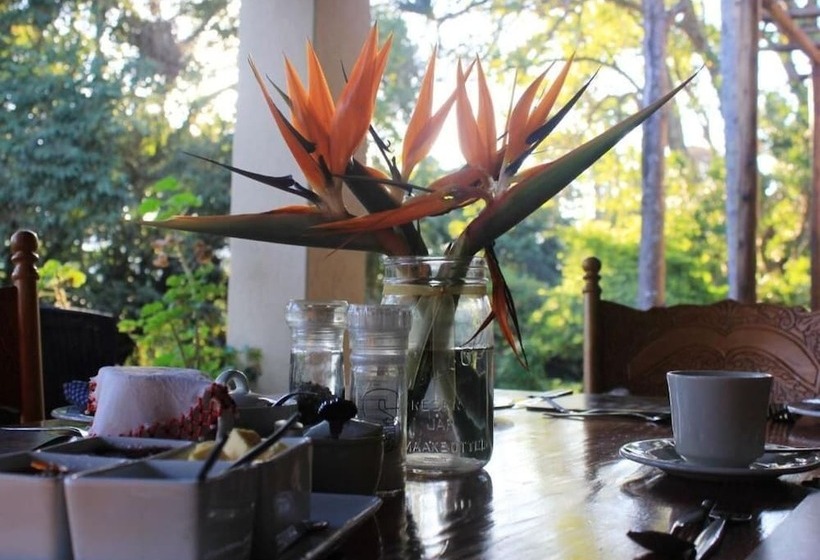 بنسيون Idle & Wild