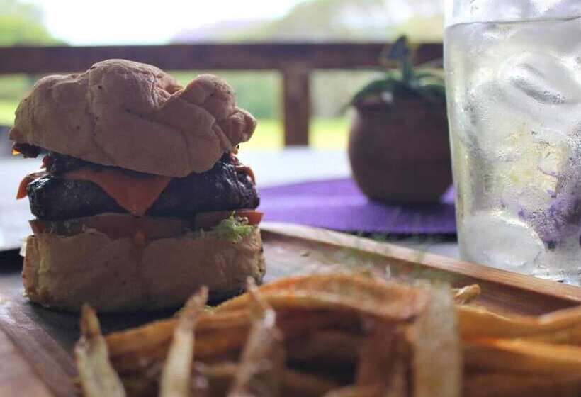 بنسيون Idle & Wild