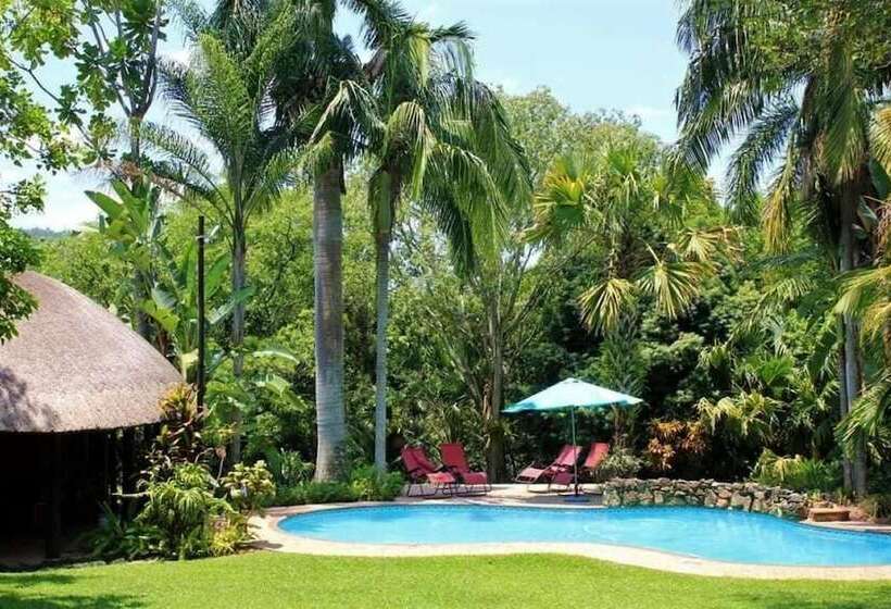 بنسيون Idle & Wild