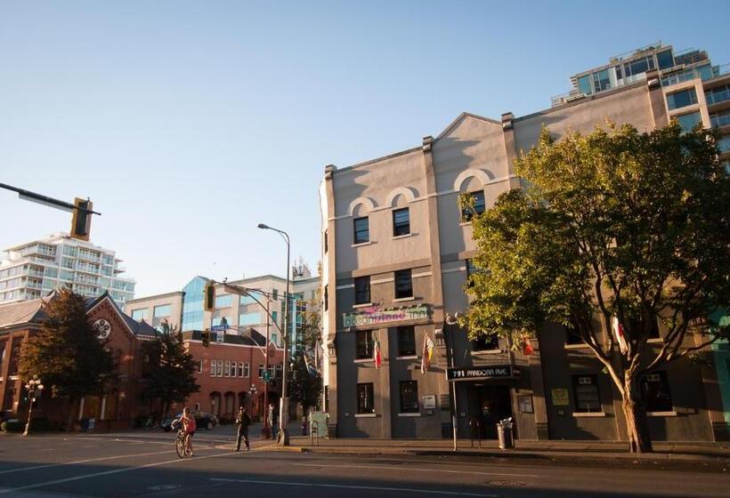 فندق صغير Ocean Island Inn | Backpackers | Suites