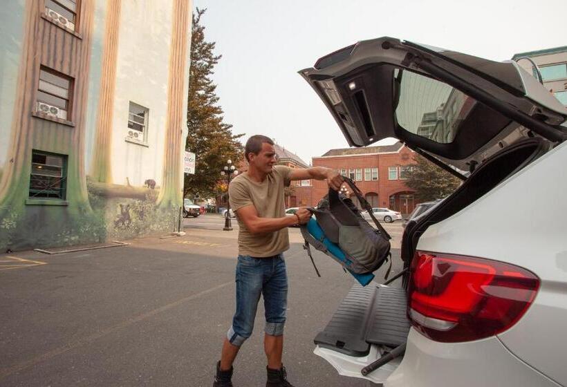 فندق صغير Ocean Island Inn | Backpackers | Suites