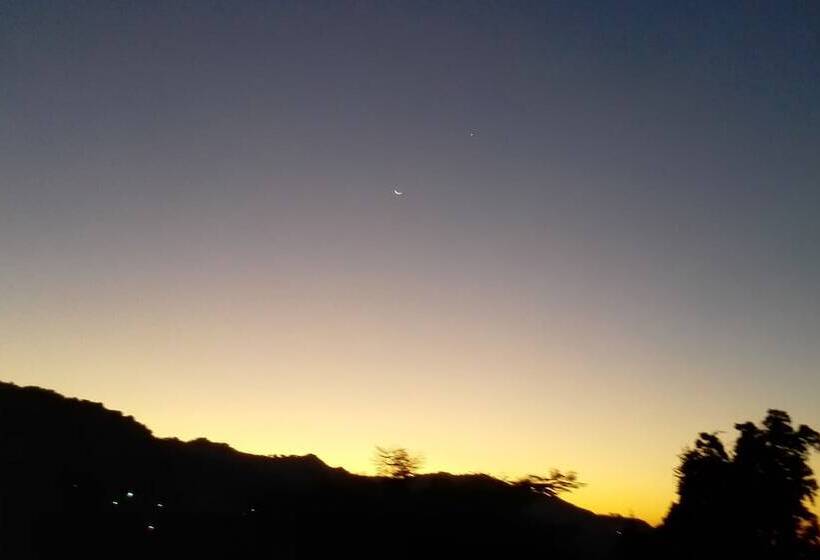 تختخواب و صبحانه Neita S Nest