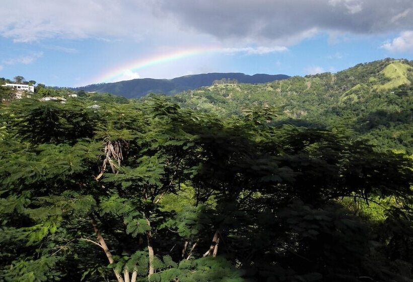 تختخواب و صبحانه Neita S Nest