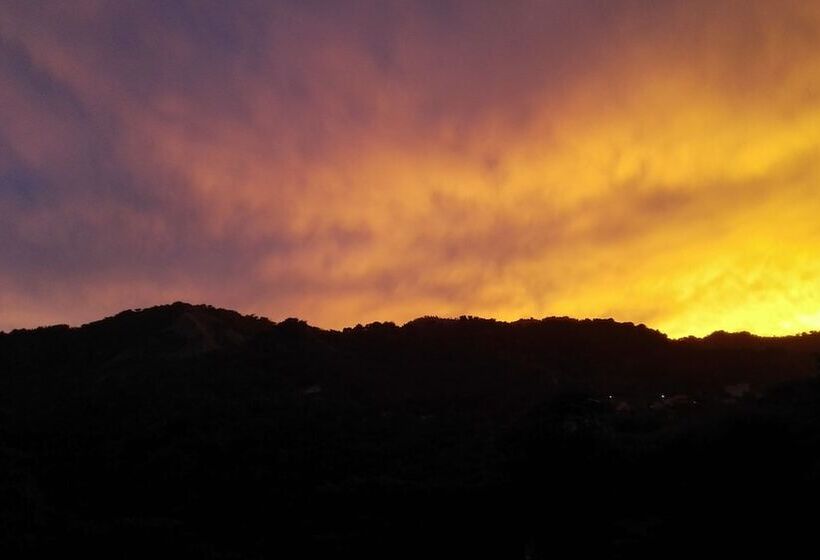 تختخواب و صبحانه Neita S Nest