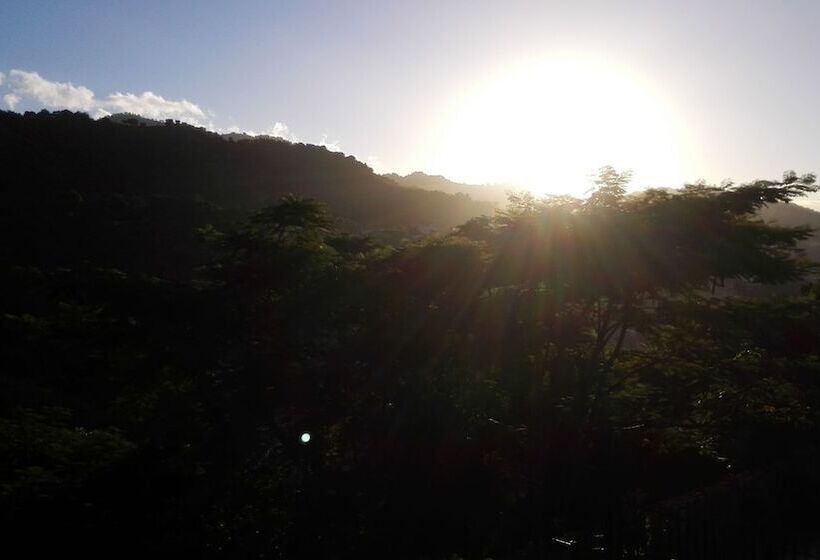 تختخواب و صبحانه Neita S Nest