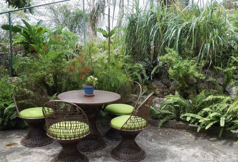 تختخواب و صبحانه Neita S Nest