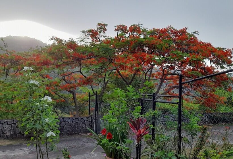 تختخواب و صبحانه Neita S Nest