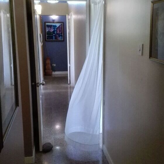 تختخواب و صبحانه Neita S Nest