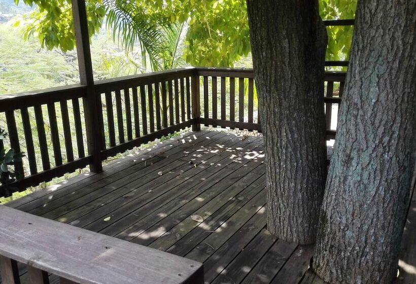 تختخواب و صبحانه Neita S Nest