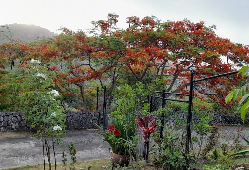 تختخواب و صبحانه Neita S Nest