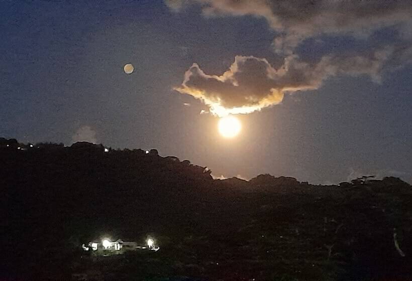 تختخواب و صبحانه Neita S Nest