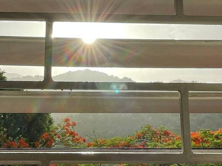 تختخواب و صبحانه Neita S Nest