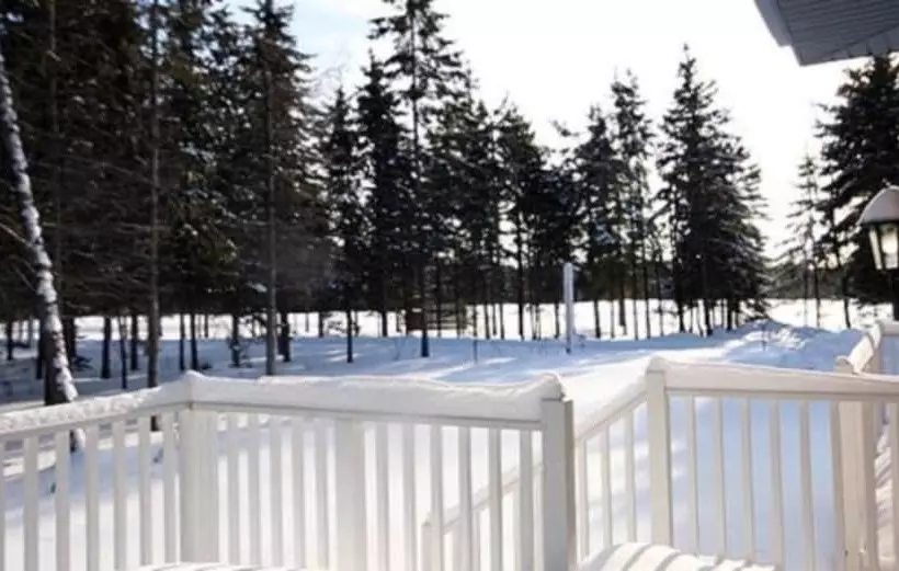 Borealis   Rvmt
