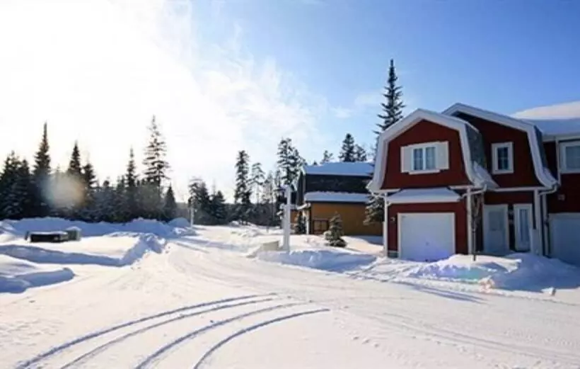 Borealis   Rvmt