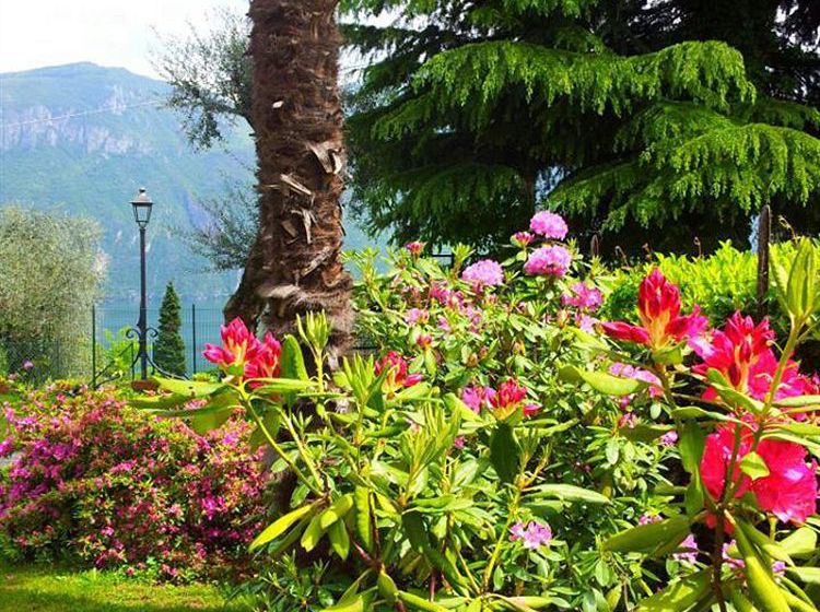 Appartamenti Casa La Rosa