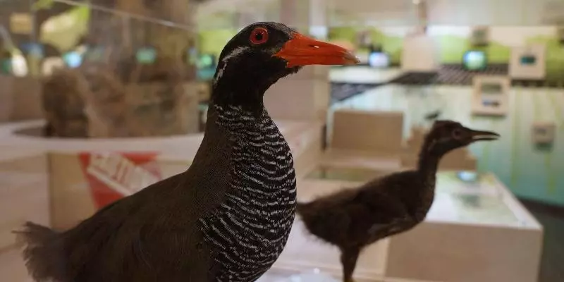 Ada Garden Hotel Okinawa