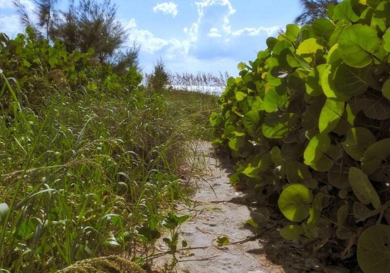 Hotel Casey Key Resorts  Beachfront