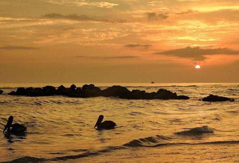 Hotel Casey Key Resorts  Beachfront