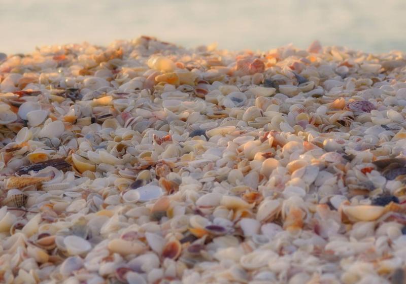 Hotel Casey Key Resorts  Beachfront