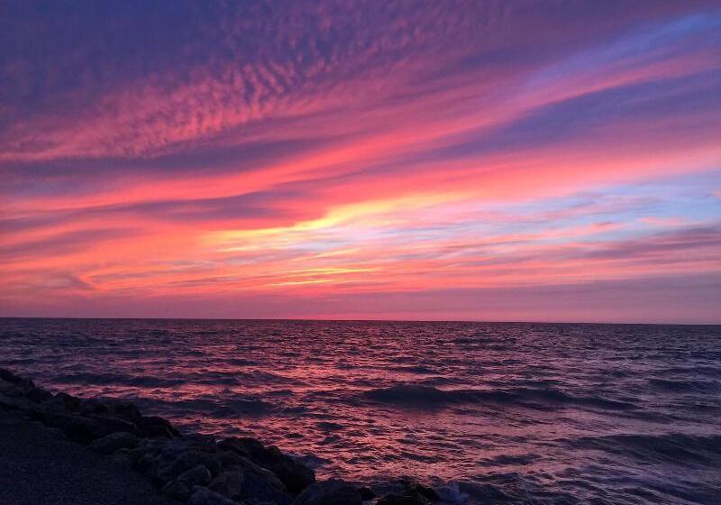 Hotel Casey Key Resorts  Beachfront