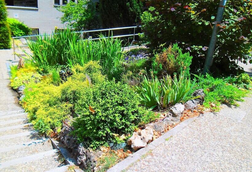 Отель Escuela Madrid