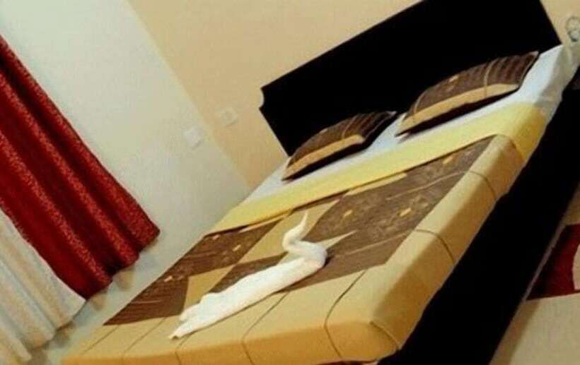 Hotel Green Trees Munnar