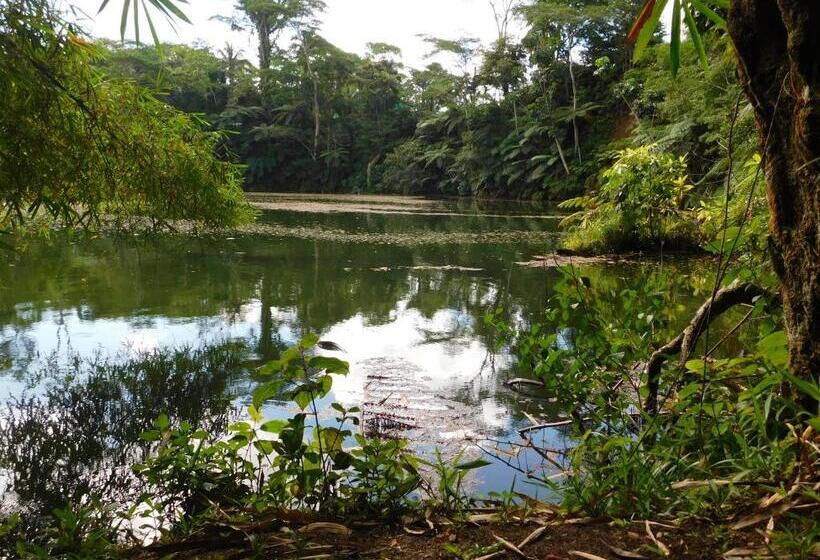 בית מלון כפרי Rainforest Eco Lodge