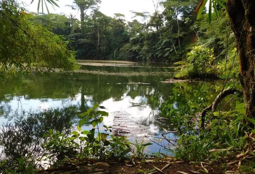 ホテル Rainforest Eco Lodge