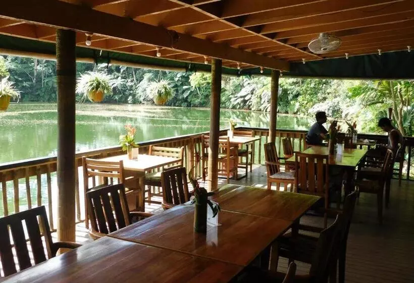 ホテル Rainforest Eco Lodge