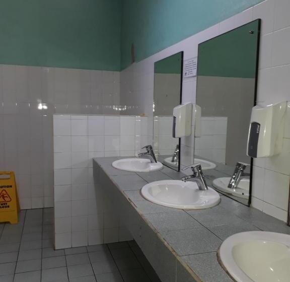 בית מלון כפרי Rainforest Eco Lodge