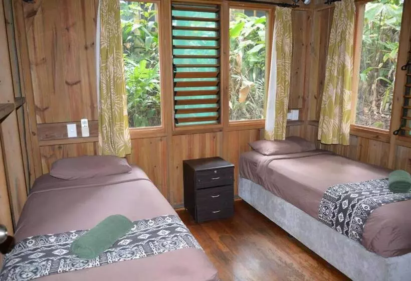ホテル Rainforest Eco Lodge
