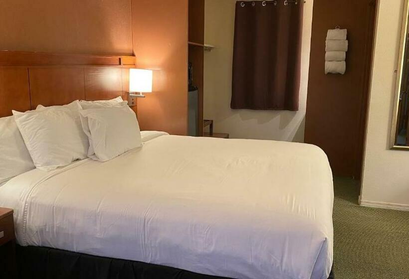 汽车旅馆  Lakeshore Inn Waterfront