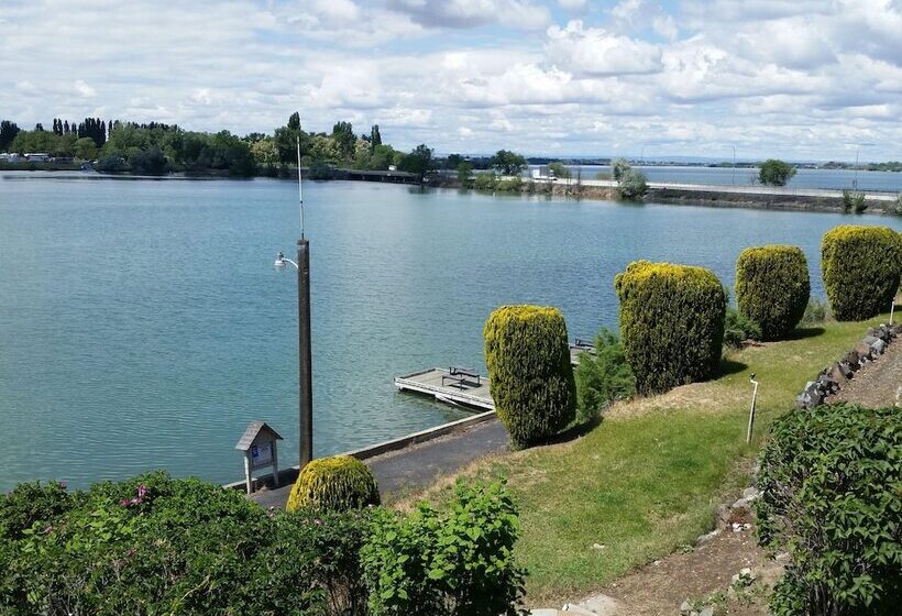 汽车旅馆  Lakeshore Inn Waterfront