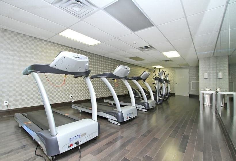 Napa Furnished Suites & Apartments