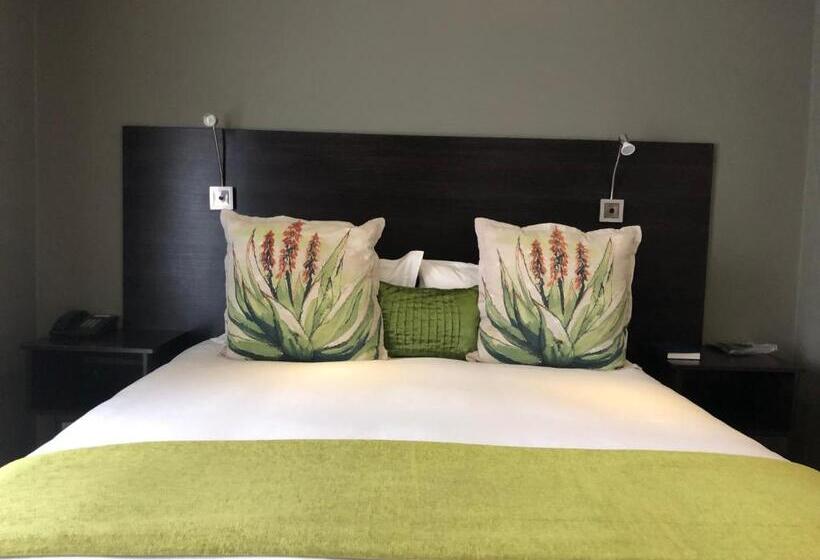 פנסיון 314 On Clark Guest House