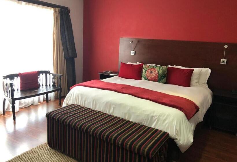 פנסיון 314 On Clark Guest House