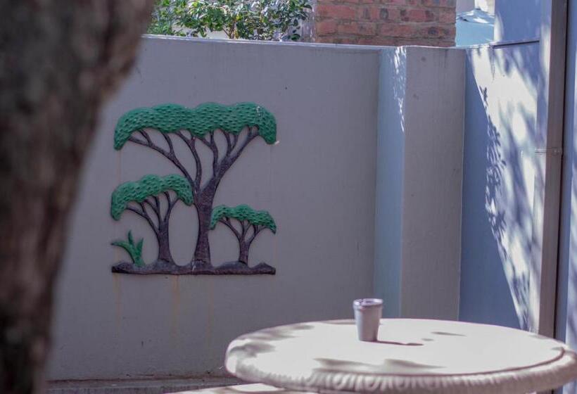 פנסיון 314 On Clark Guest House