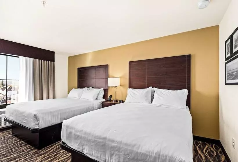 Cobblestone Hotel & Suites   Cullman