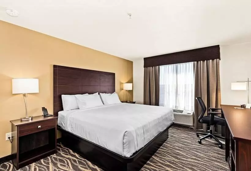 Cobblestone Hotel & Suites   Cullman