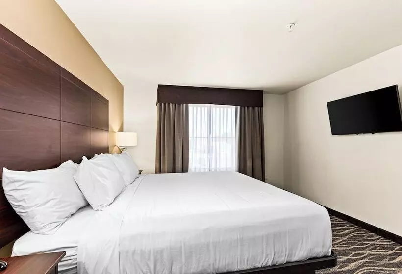 Cobblestone Hotel & Suites   Cullman