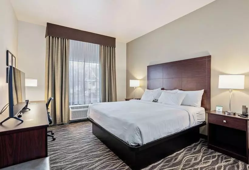 Cobblestone Hotel & Suites   Cullman