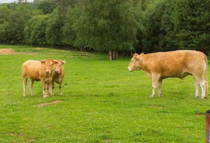 Hotelli Casa Da Ponte De Penas
